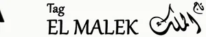 شعار Tag El malek Jewellery